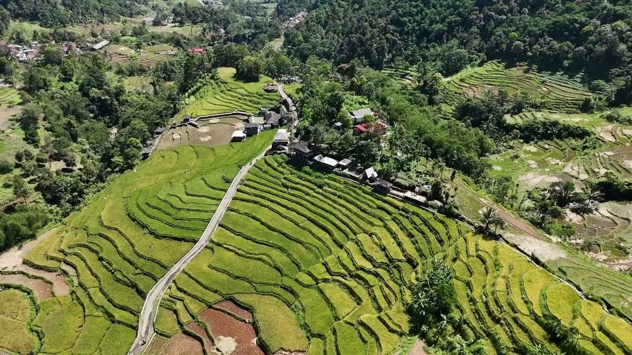 Video Terasering Sawah Desa Cisalada 1