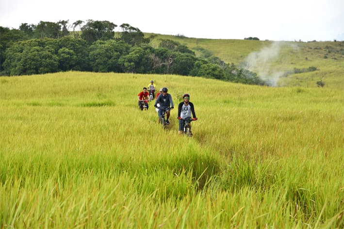 Padang Savana Suoh